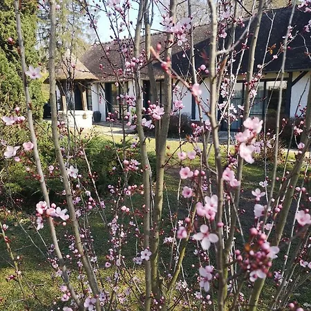 Les Enclos Bed And Breakfast A 4 Mn De Chantilly Lamorlaye Exterior photo